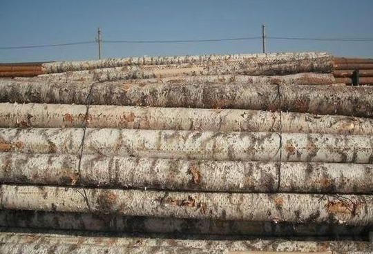 訂制家具:訂制實(shí)木家具如何挑選木材