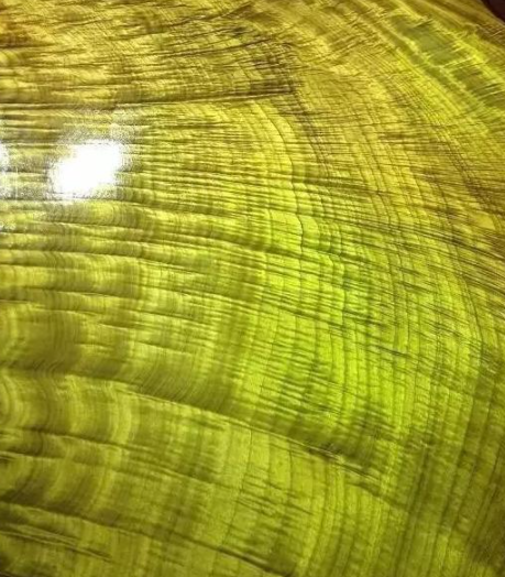 金絲楠烏木：如何區(qū)別金絲楠、黃心楠、黃金樟