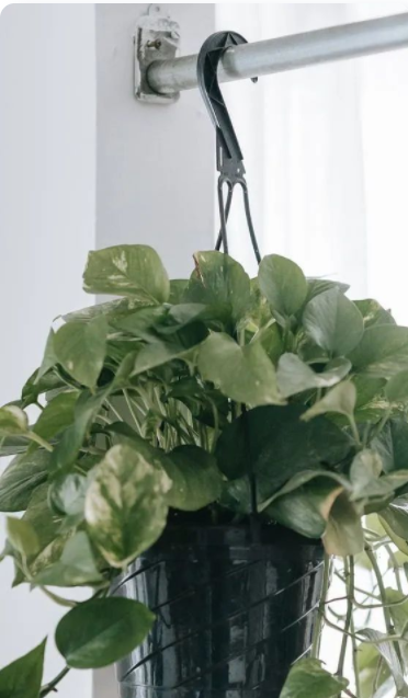 室內(nèi)設(shè)計(jì)專業(yè)培訓(xùn);消費(fèi)者對(duì)環(huán)保健康室內(nèi)設(shè)計(jì)、家具擺設(shè)和裝飾的需求，已成一股推動(dòng)力