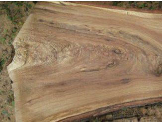 上海家庭裝修風格;美國白橡木皮另一面—特殊紋理和色彩變化