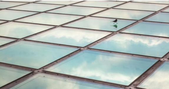 鋁扣板吊頂好還是玻璃吊頂好？