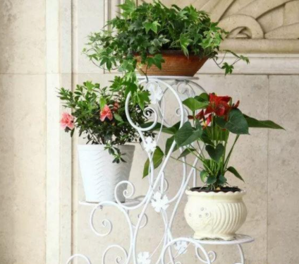 【室內(nèi)花架子】家用花架材質(zhì)都分為哪些？花架挑選技巧分享推薦