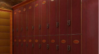 浴室全塑更衣柜：浴室更衣柜有什么材質(zhì)？浴室更衣柜電子感應鎖好不好？