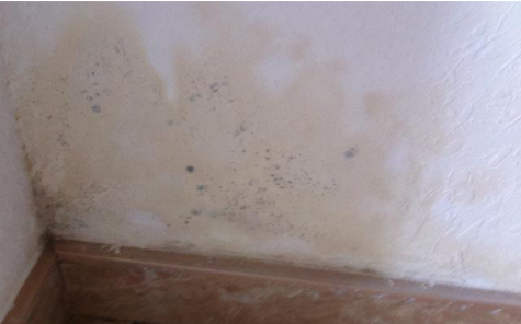 【翻新墻面除霉】墻面返潮是什么原因？墻面返潮怎么處理